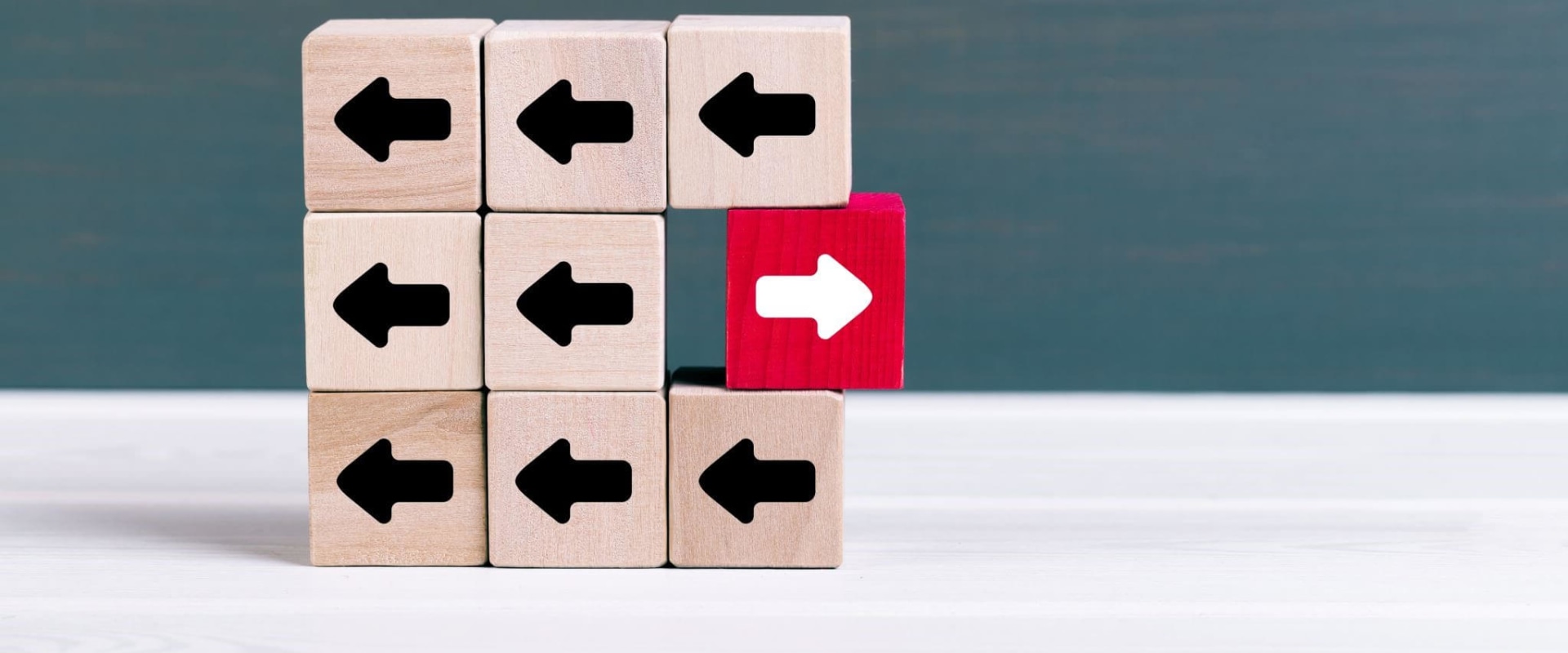 What are the 5 steps in the software development process?